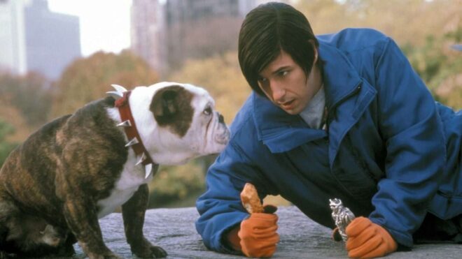 Little Nicky