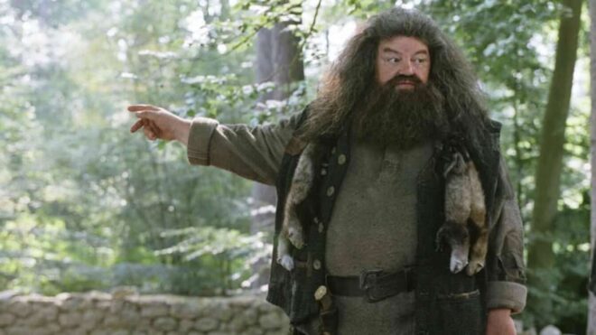 Hagrid