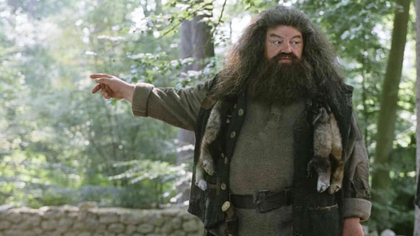 Hagrid