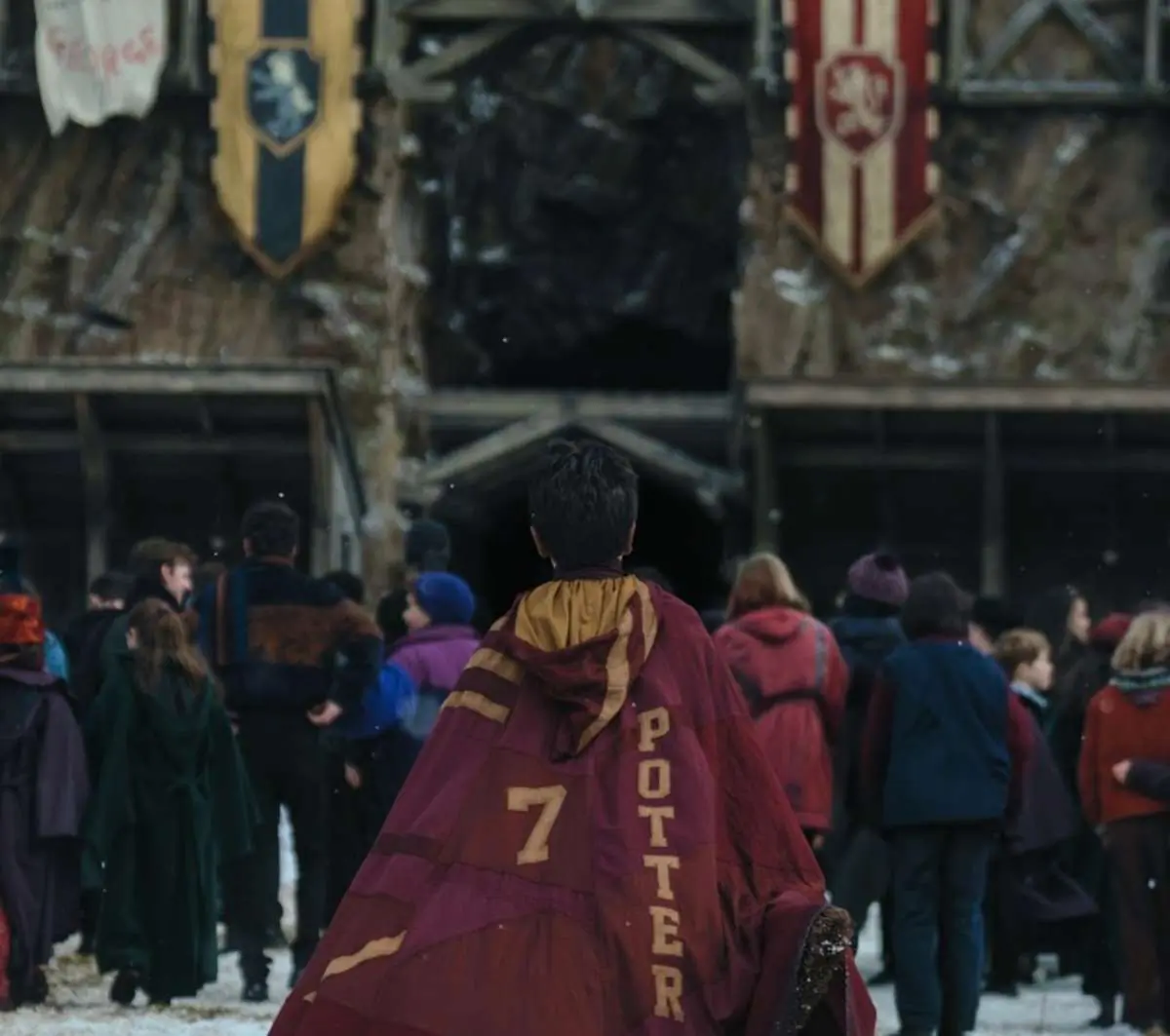 Harry Potter